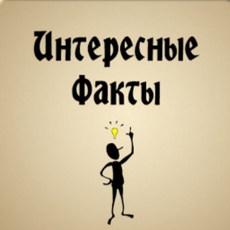 Cover Image of Интересные факты о рефератах в Минске
